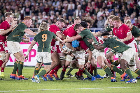 WALES vs SOUTH AFRICA SF Rugby World Cup JAPAN 2019
