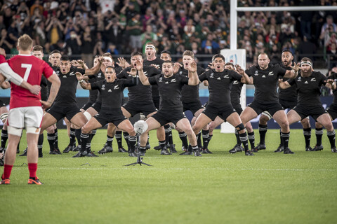 NEW ZEALAND-ALL BLACKS vs WALES Bronze Finale Rugby World Cup JAPAN 2019